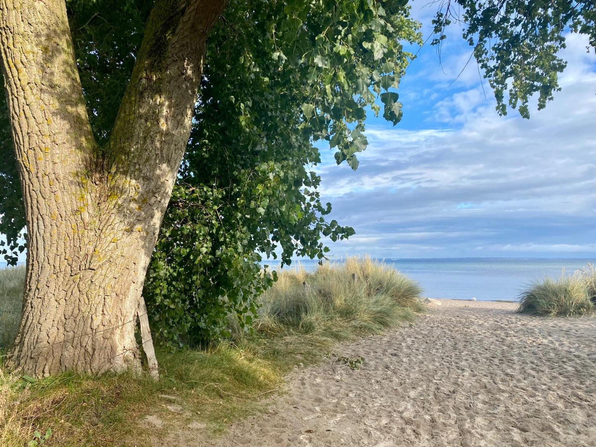 Feriendorf Suedstrand Haus 36 Pelzerhaken Buitenkant foto